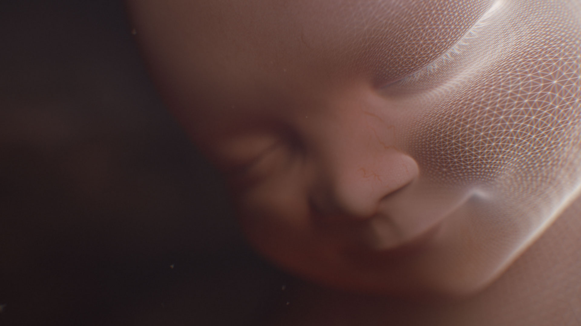 170117 smilling finetune wireframe 00060