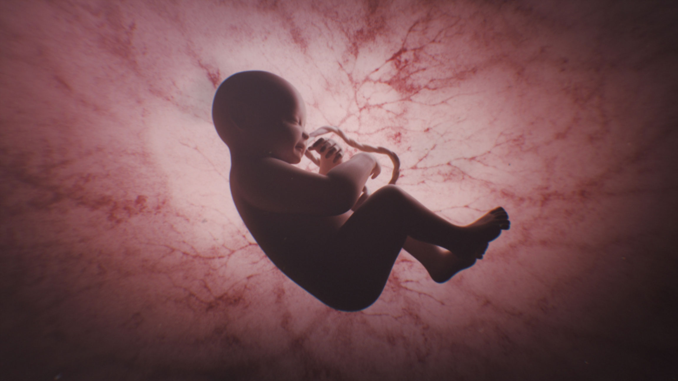 170118 xtrashot composed v1 %2800000%29